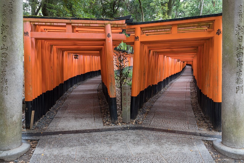 The Senbon Torii at Fushimi Inari Taisha, with vermilion gates forming two paths